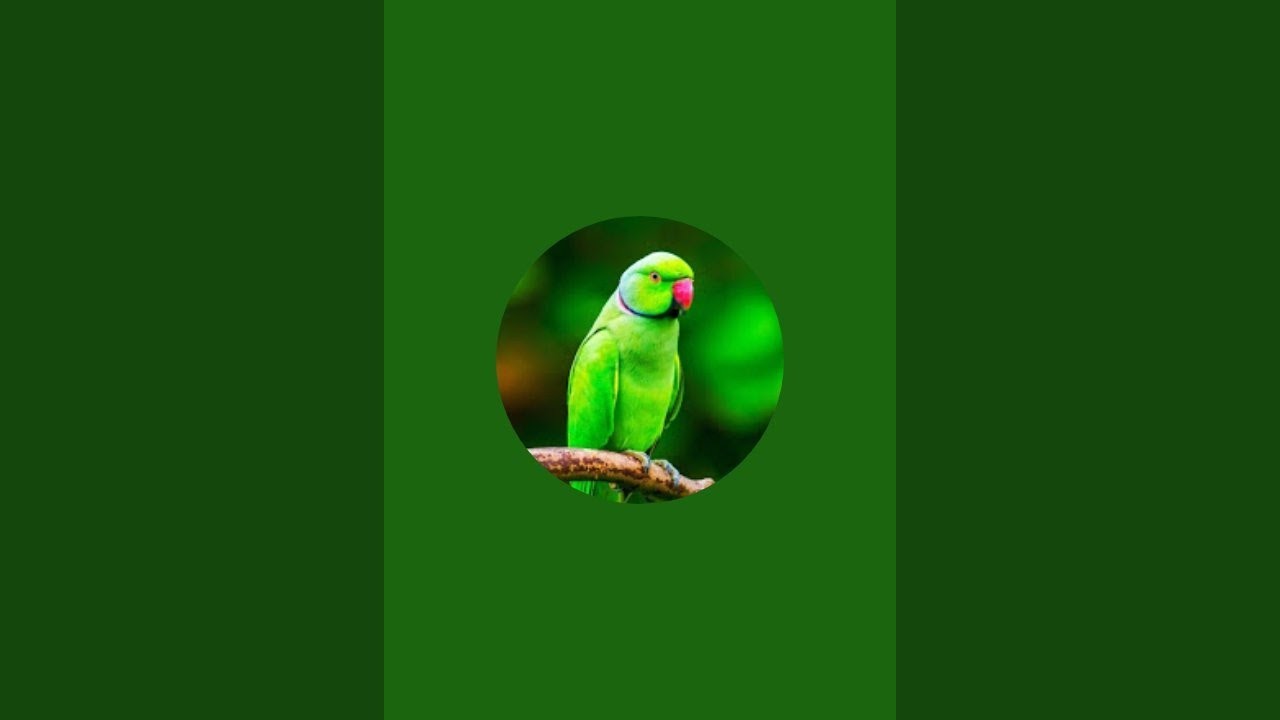 Sonu_tota is live!