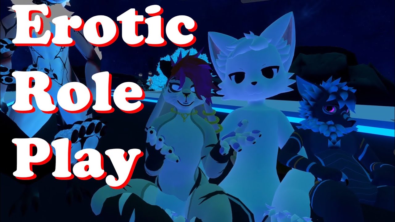 What is ERP? | VRChat Interviews