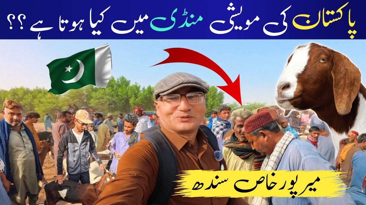 Inside Pakistan&rsquo;s Goat Market | Buying Goats and Exploring Real Animal Trading | Helping people