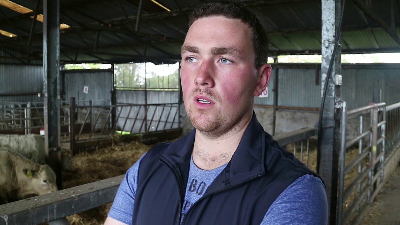 Weaning management at Newford Farm