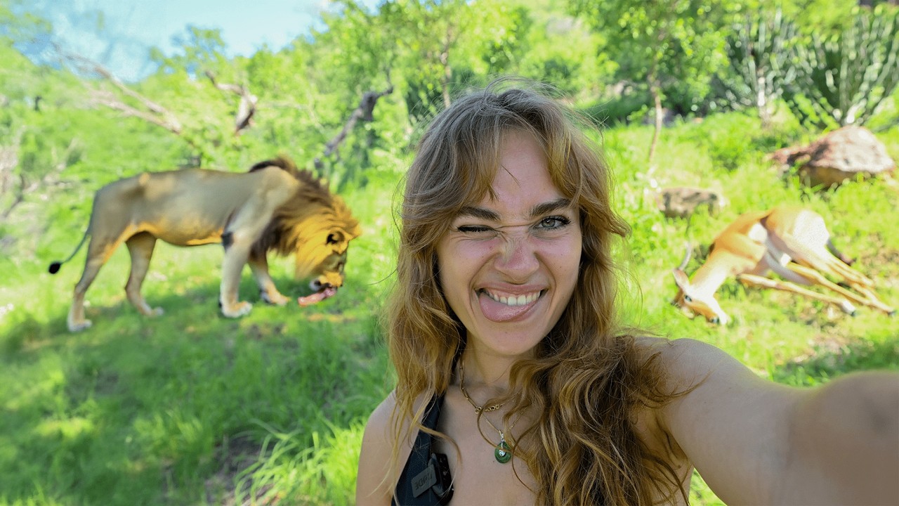 Est-on certain que les animaux sont heureux en liberté ? (non) - Enquête