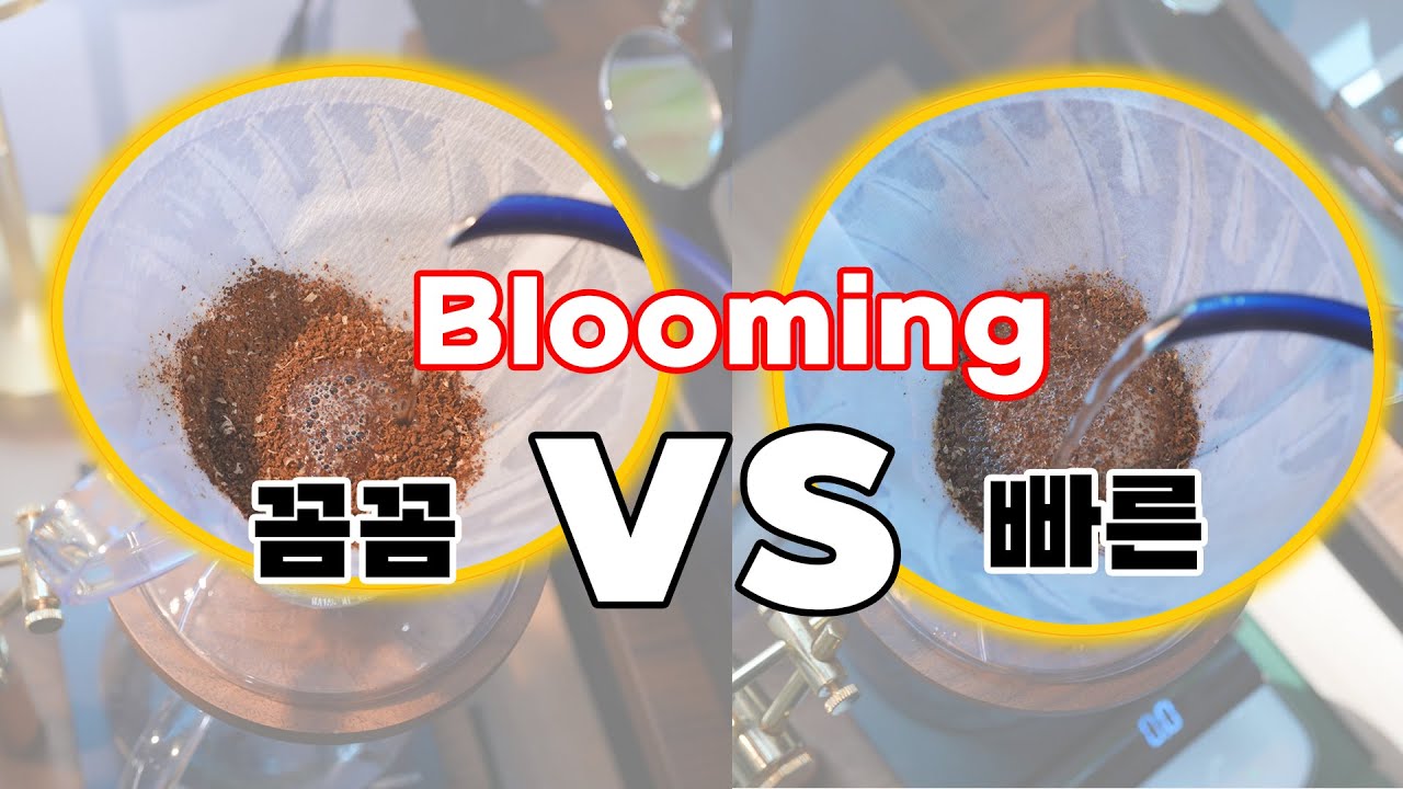 얇은 물줄기 vs 굵은 물줄기, 불림 실험 결과는? | 홈카페 사용 설명서