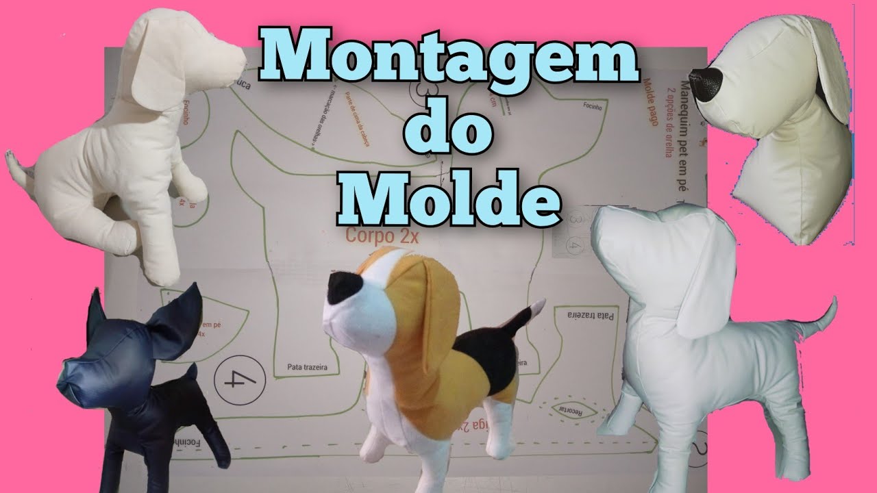 Como montar o molde do manequim pet
