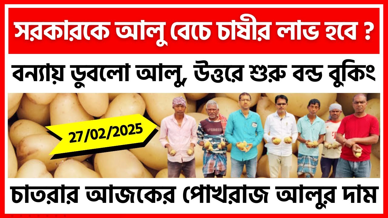 27/02/2025 : চাতরার আজকের নতুন আলুর দাম | New Potato Price in Chatra, Bankura - India Potato News