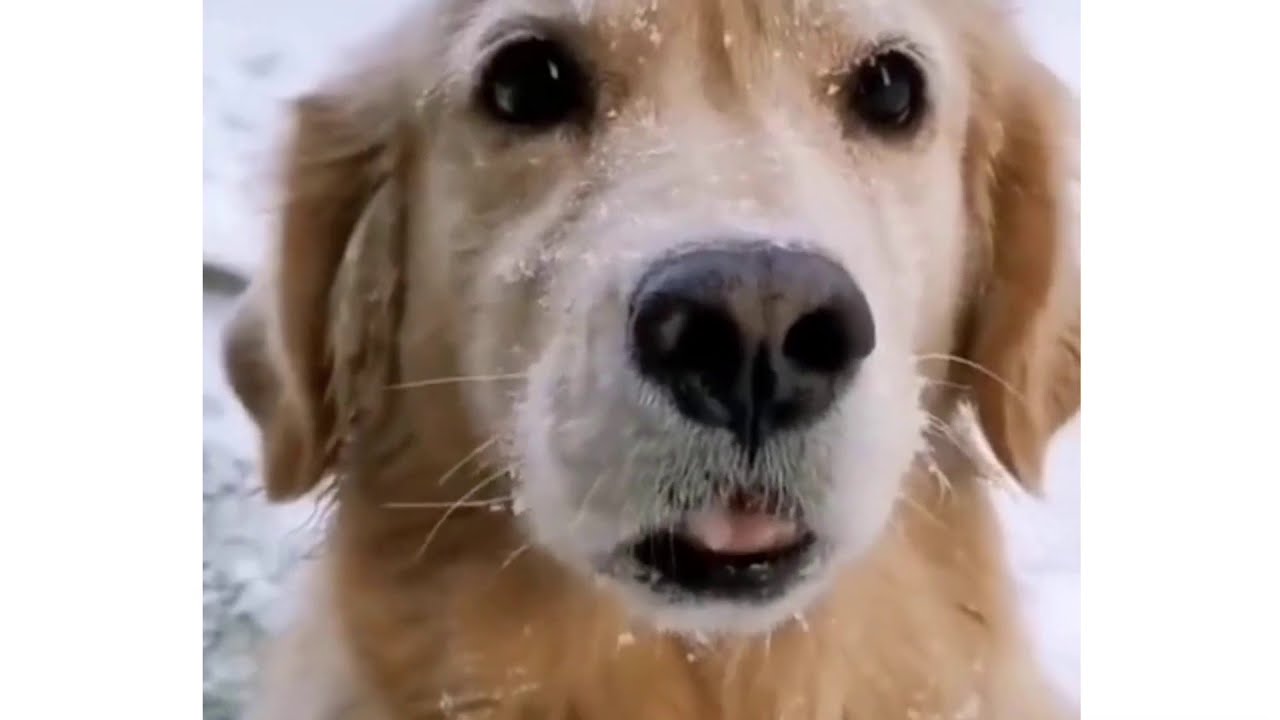 Unexpected videos that saves your times | 131216 | streetcan