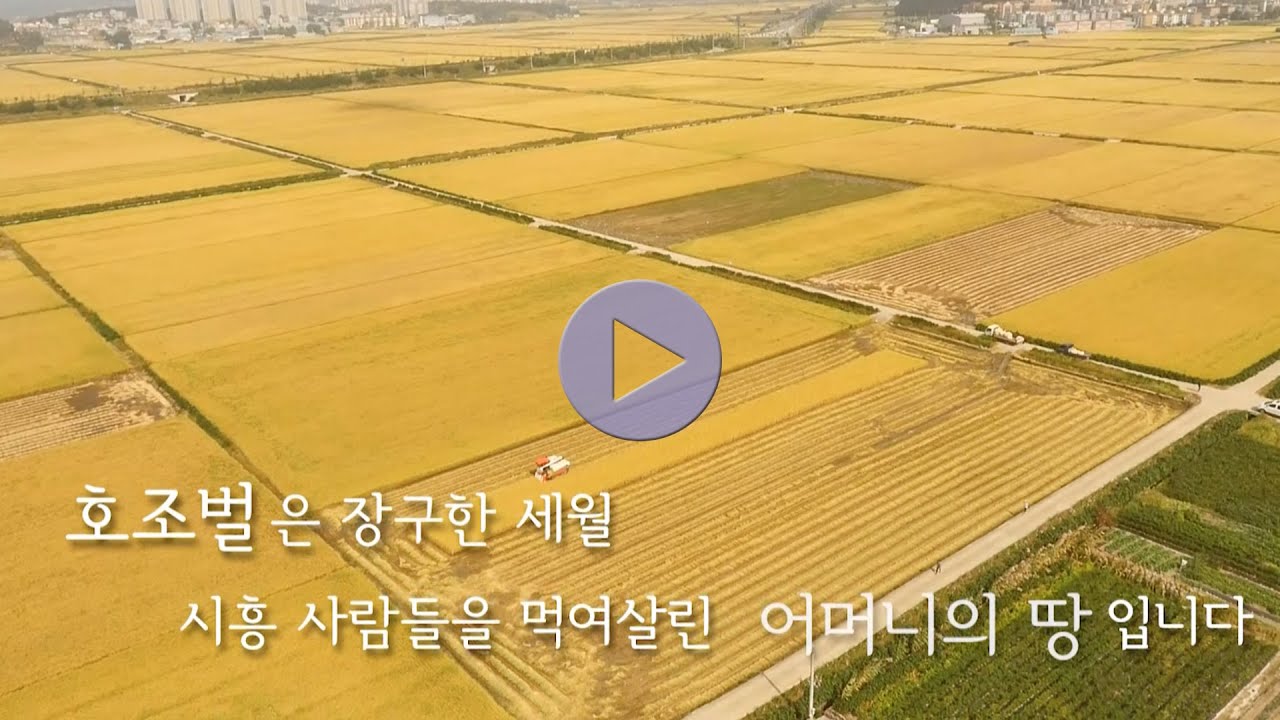 [시흥시] 호조벌의 역사와 가치