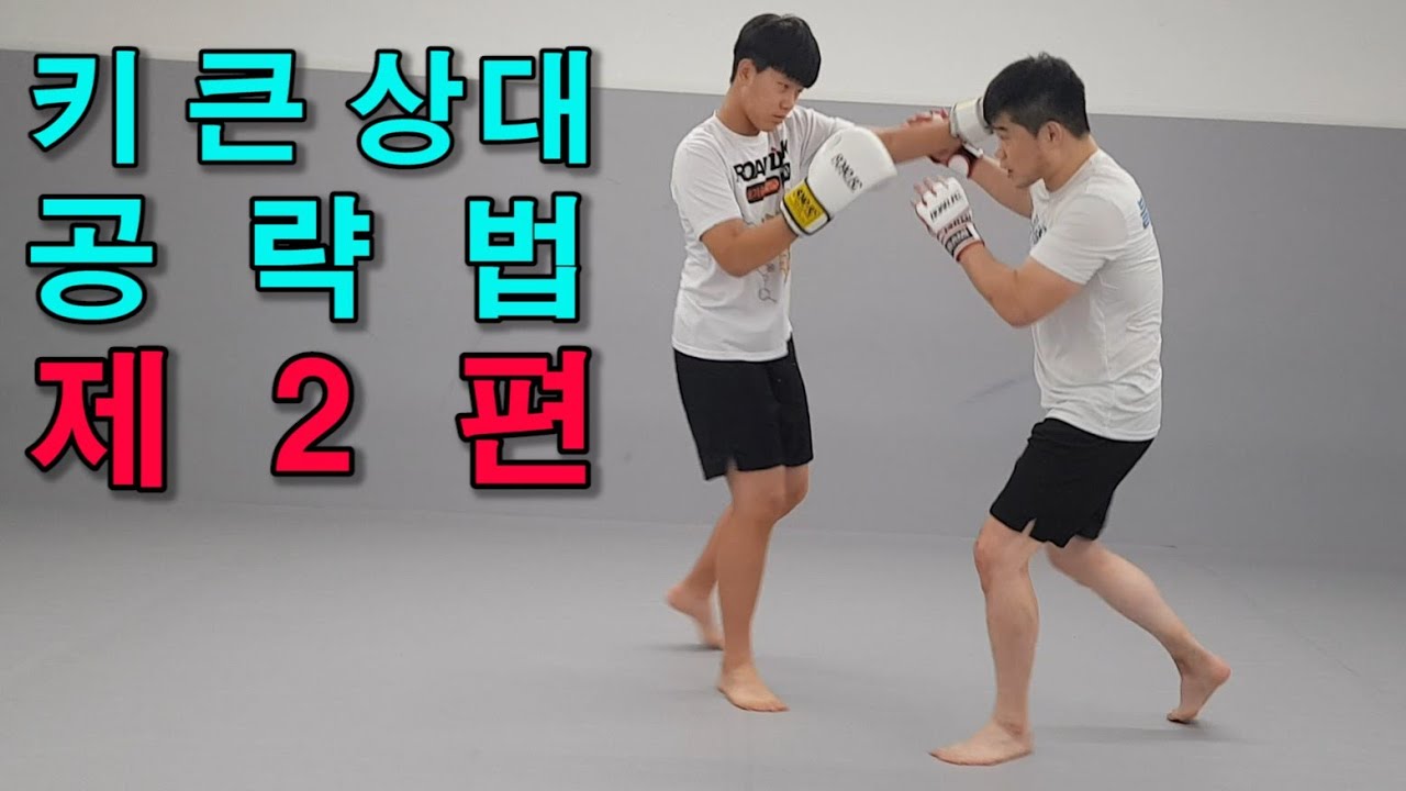 키 큰 상대 공략법 제 2편