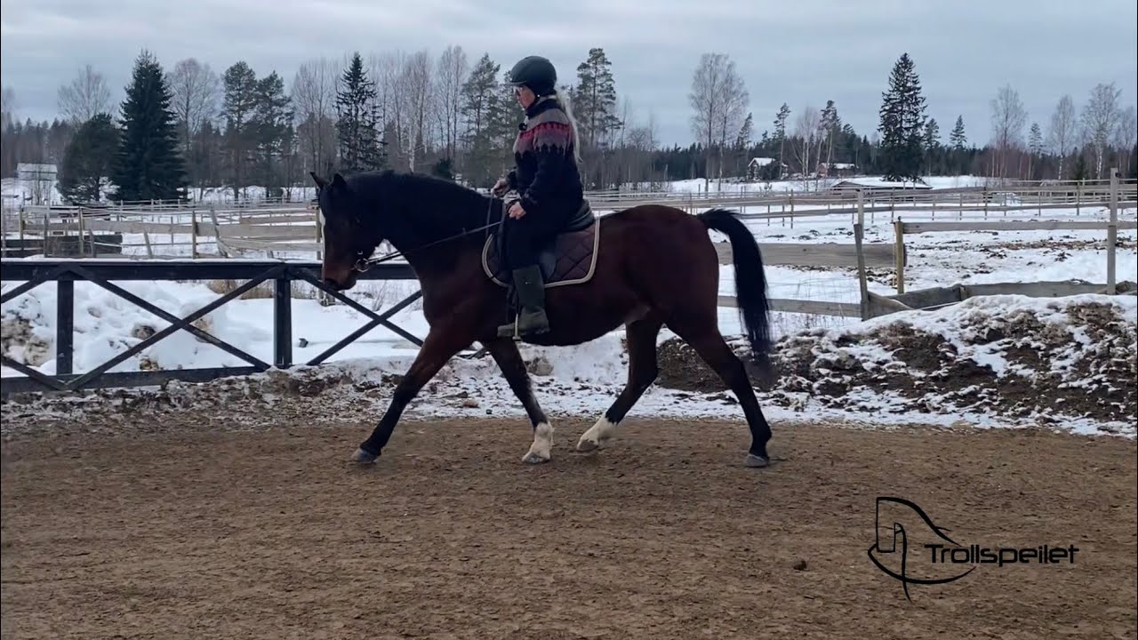 Inside leg, outside rein, rhythm and contact