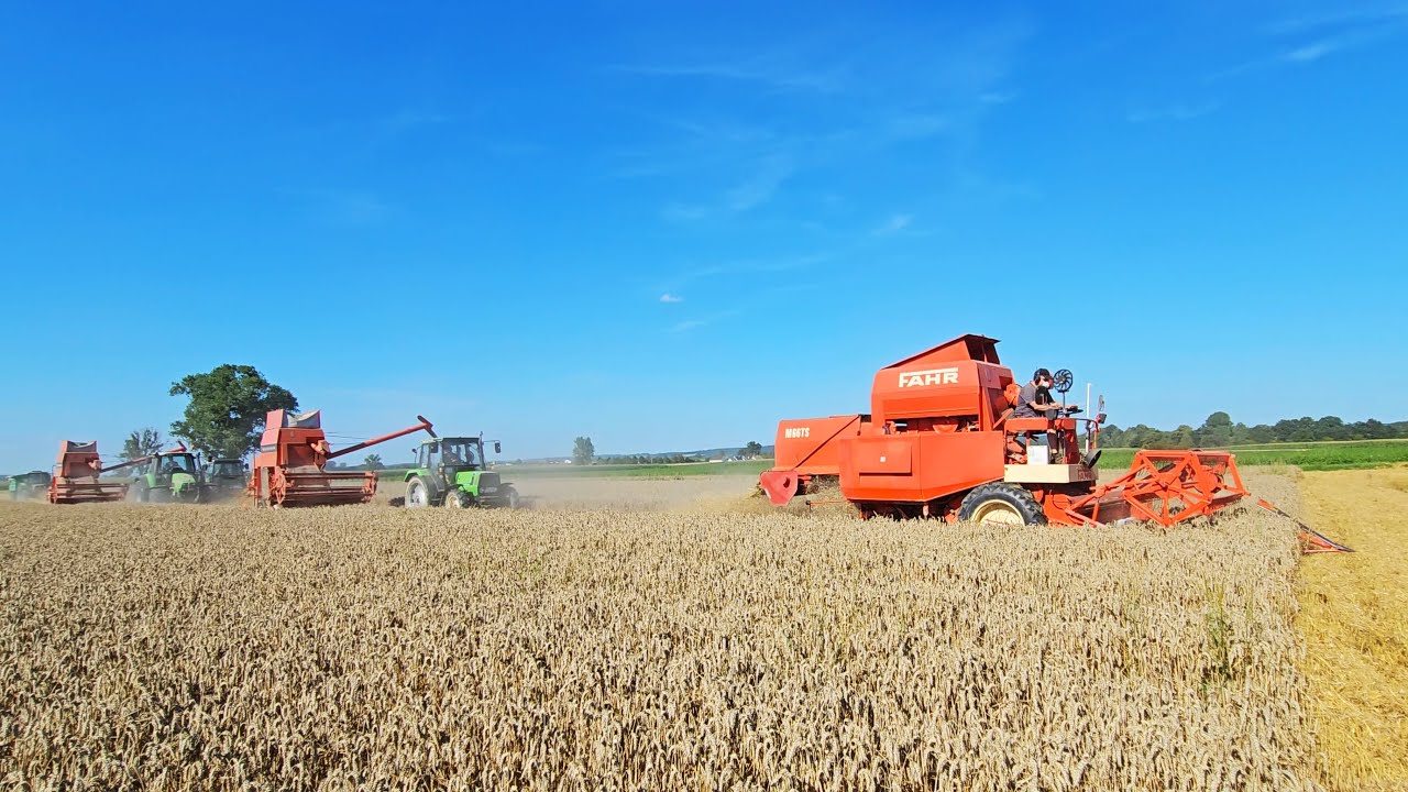 Fantastische Deutz Flotte mit 3 x Fahr M66TS Oldie Mähdrescher im Weizenfeld beim Getreide dreschen!