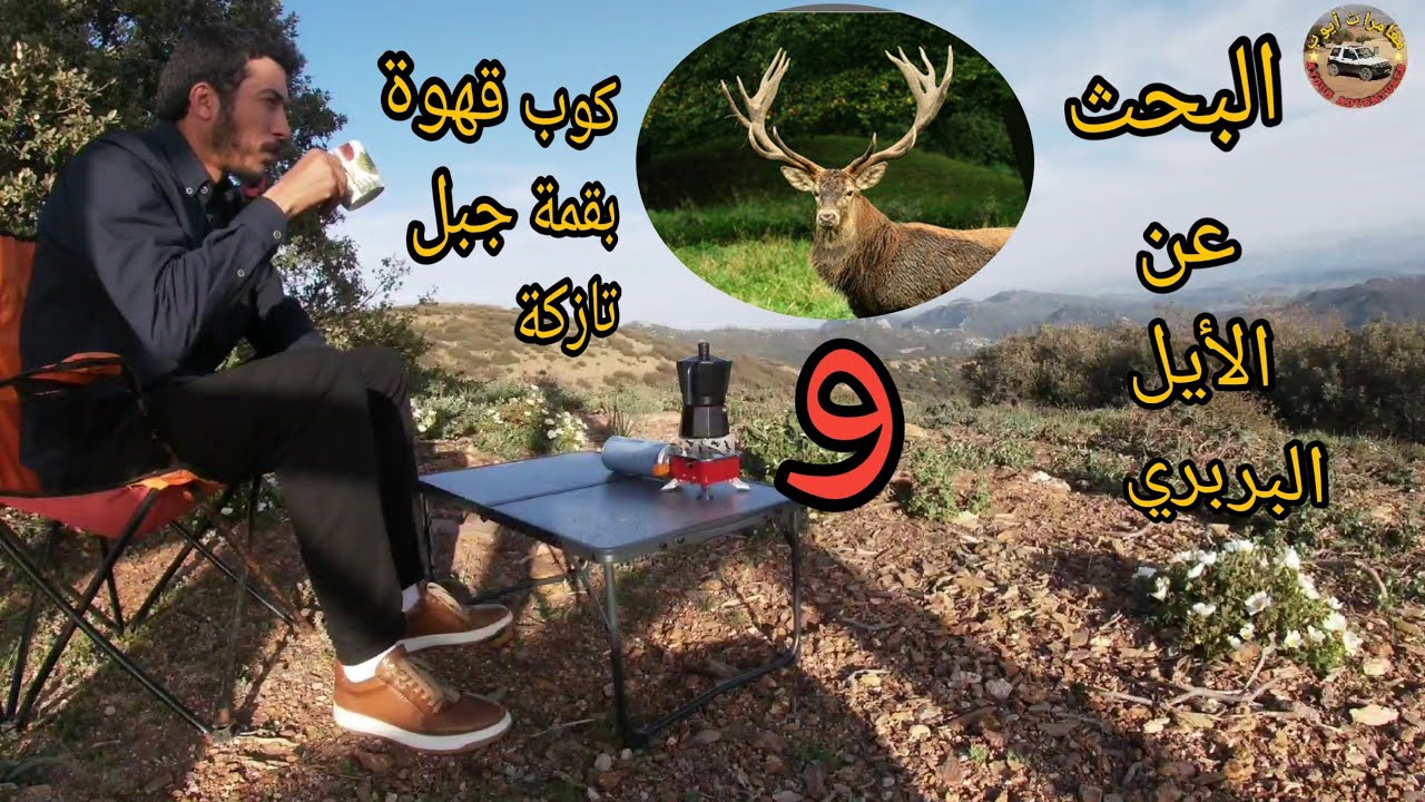 البحث عن الأيل البربري والتخييم في قمة جبل تازكة /serching barbary deer and Mountain camping