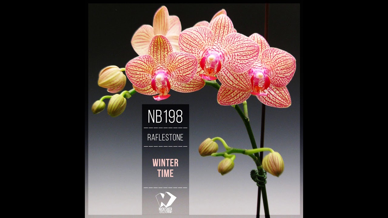RafleSTone - A New Era (Original Mix)