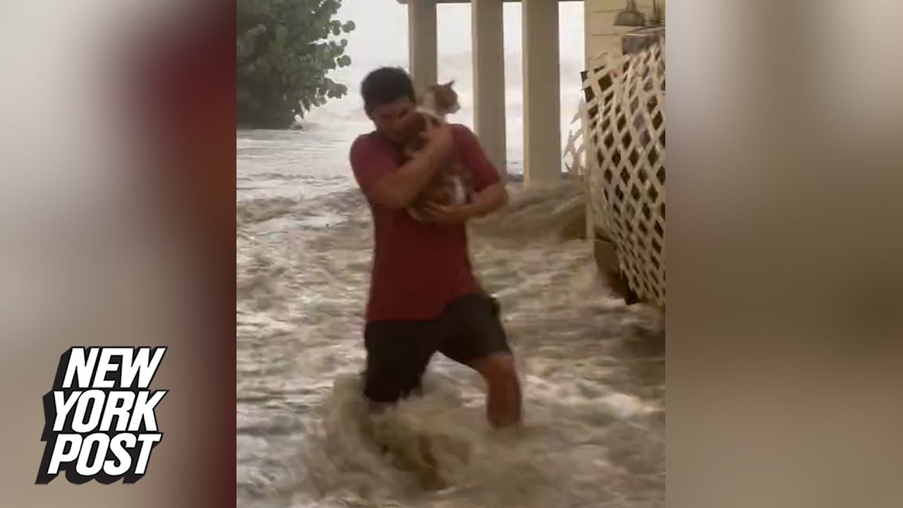 WATCH: Florida man steals hearts after rescuing cat during Hurricane Ian | New York Post