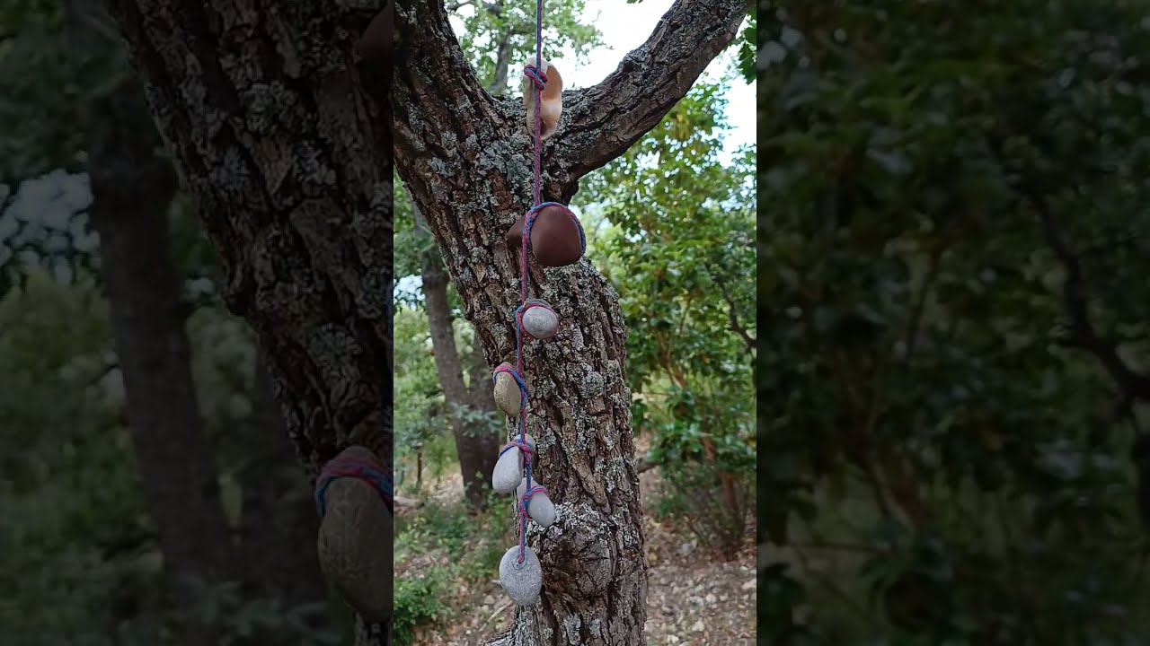 Бивуак туристов