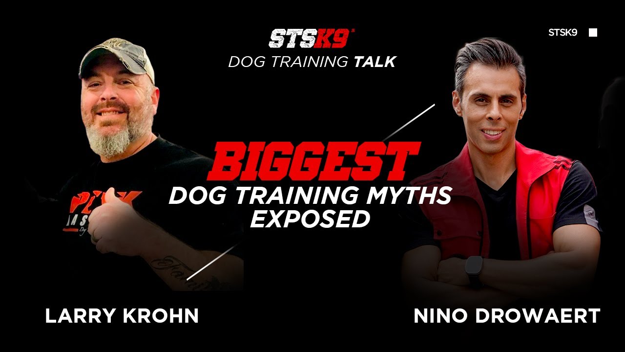 Nino and Larry Krohn: Deep discussion on Obedience and E-Collar Training