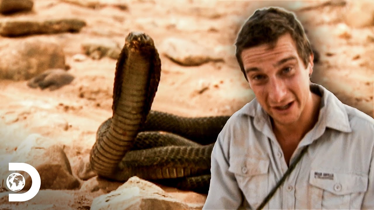 Consiguiendo agua en el desierto del Sahara | A Prueba de Todo | Discovery Latinoam&eacute;rica