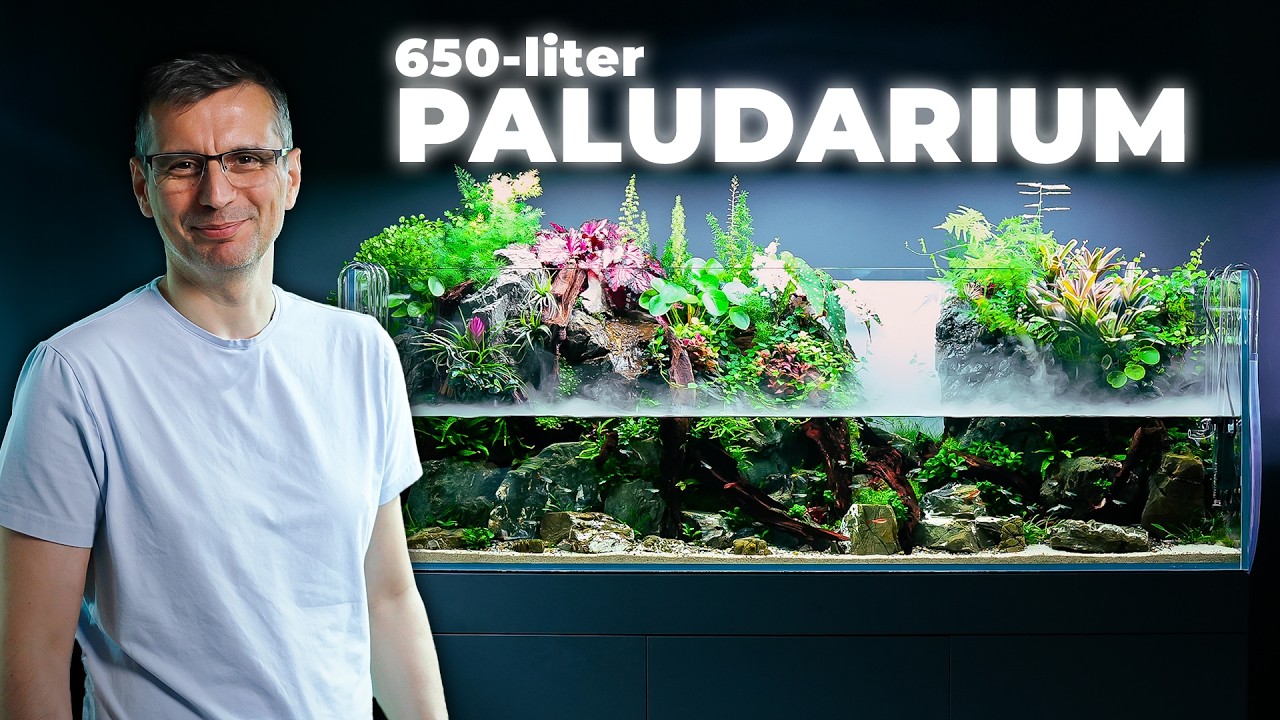 Our Most Ambitious Paludarium Build Yet