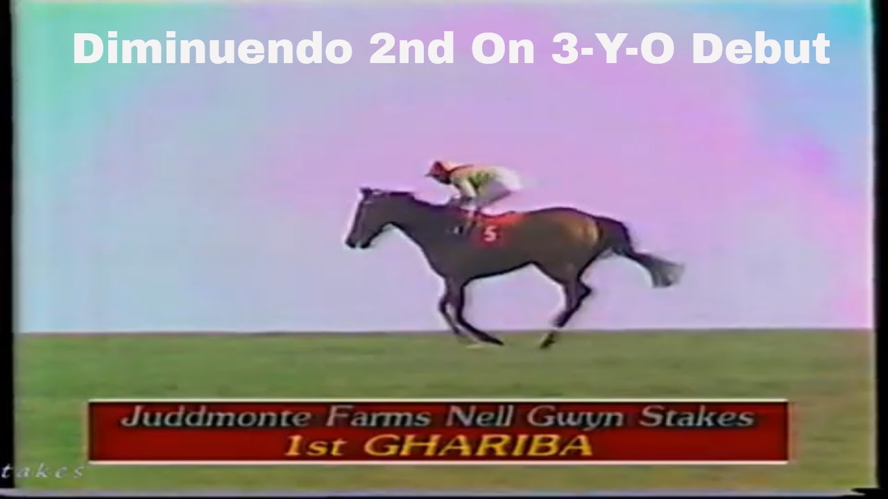 1988 Nell Gwyn Stakes Ghariba Inc Post Race Replay