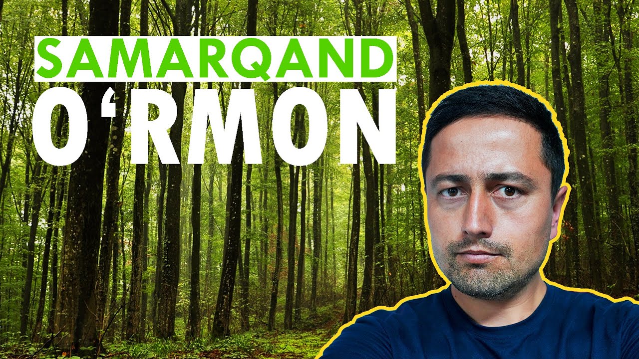 Omonqo&lsquo;tonda tiklanayotgan o&lsquo;rmon | Manzil