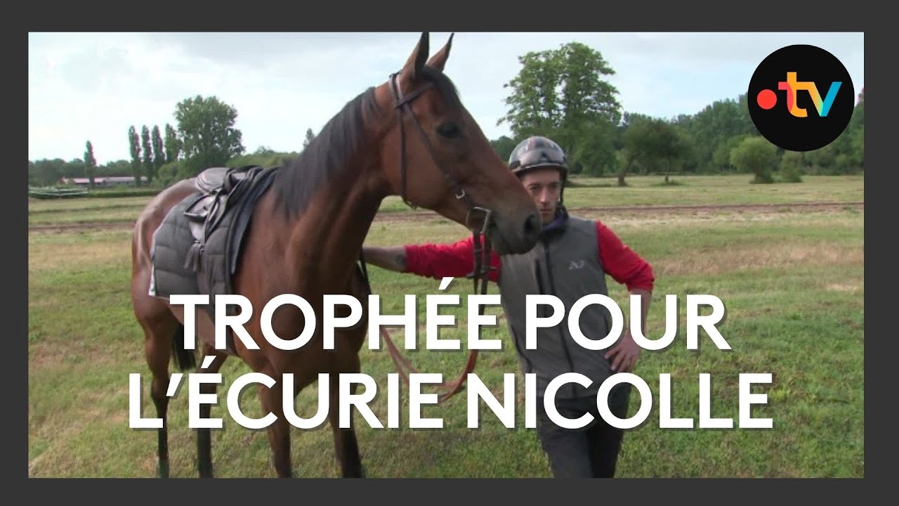 François Nicolle : l’excellence d’un entraîneur de chevaux d’obstacles à l’assaut des classiques