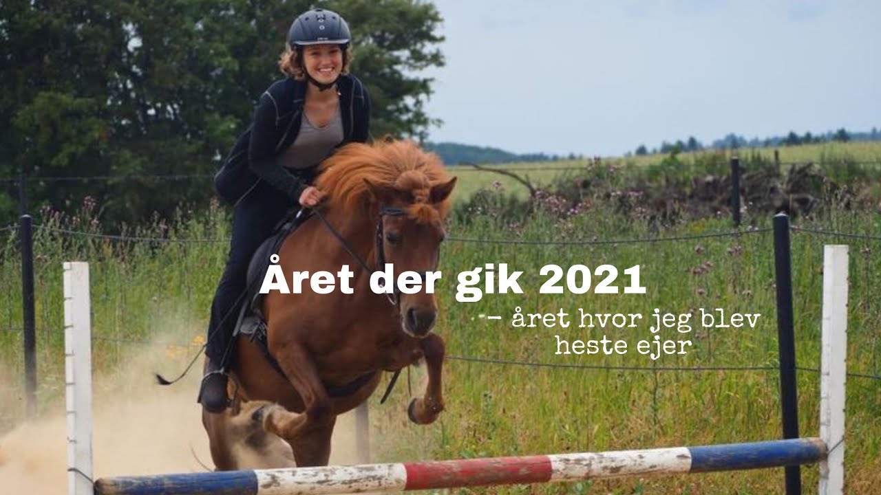 ÅRET DER GIK 2021 - jeg blev heste ejer