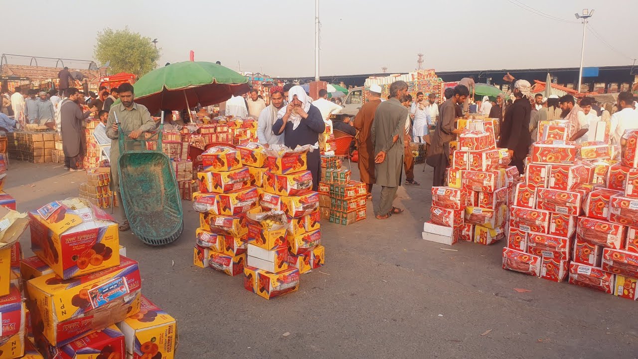 Swat plum bigger than Irani Apple in Size | fresh fuits update | Daily fruit mandi update |