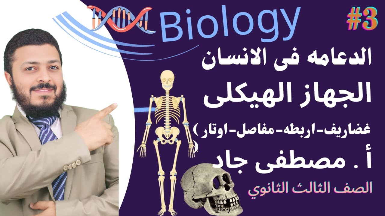 الدعامة في الانسان الدرس الثاني ( تابع الجهاز الهيكلي ).