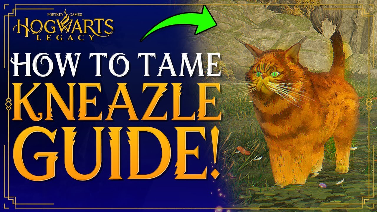 Hogwarts Legacy - How To Get KNEAZLE CAT - How To Tame / Catch Kneazle - Kneazle Den Location Guide