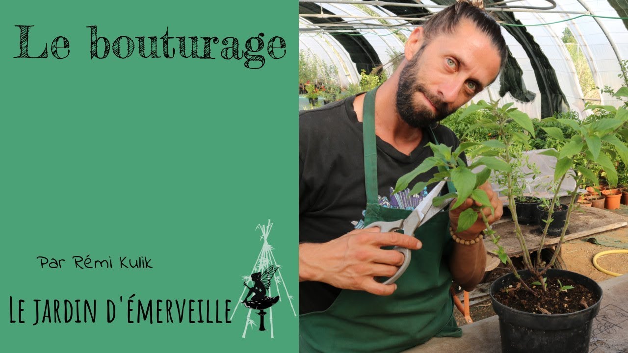 Réussissez toutes vos boutures !