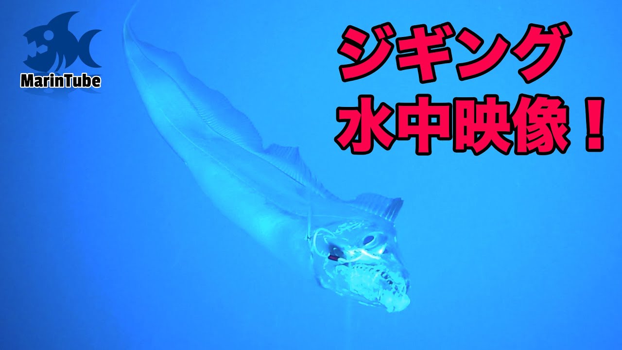 カメラ付きのジグにドラゴンのような魚が食いついた!?