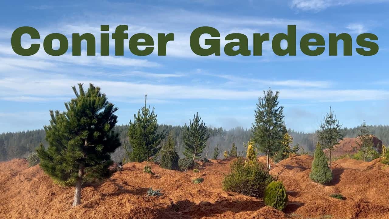 Hogi Gardens #013 OG (Original Garden) Progress Tour | Mulch Your Gardens! #mulching #woodchip