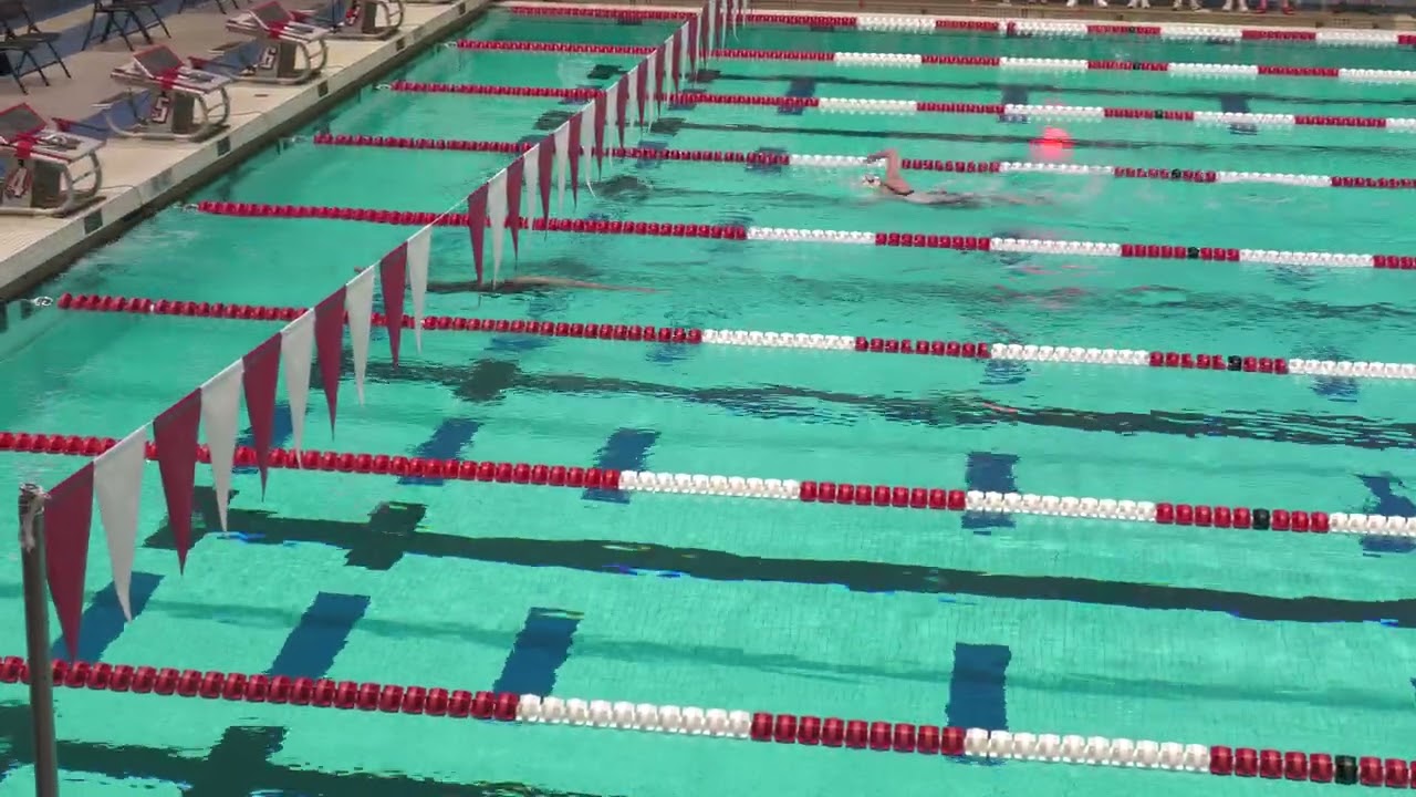2026 02 28 Last Chance Women's 500 Yard Freestyle