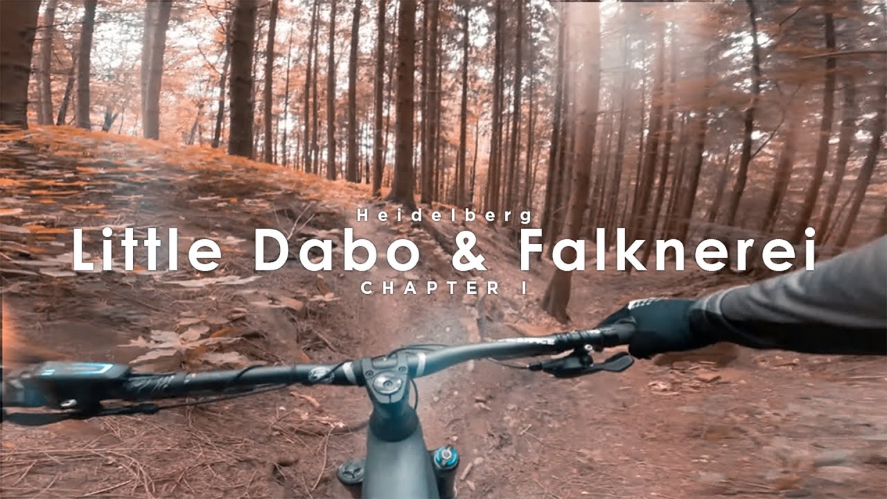 Little Dabo & Falknerei | Königsstuhl