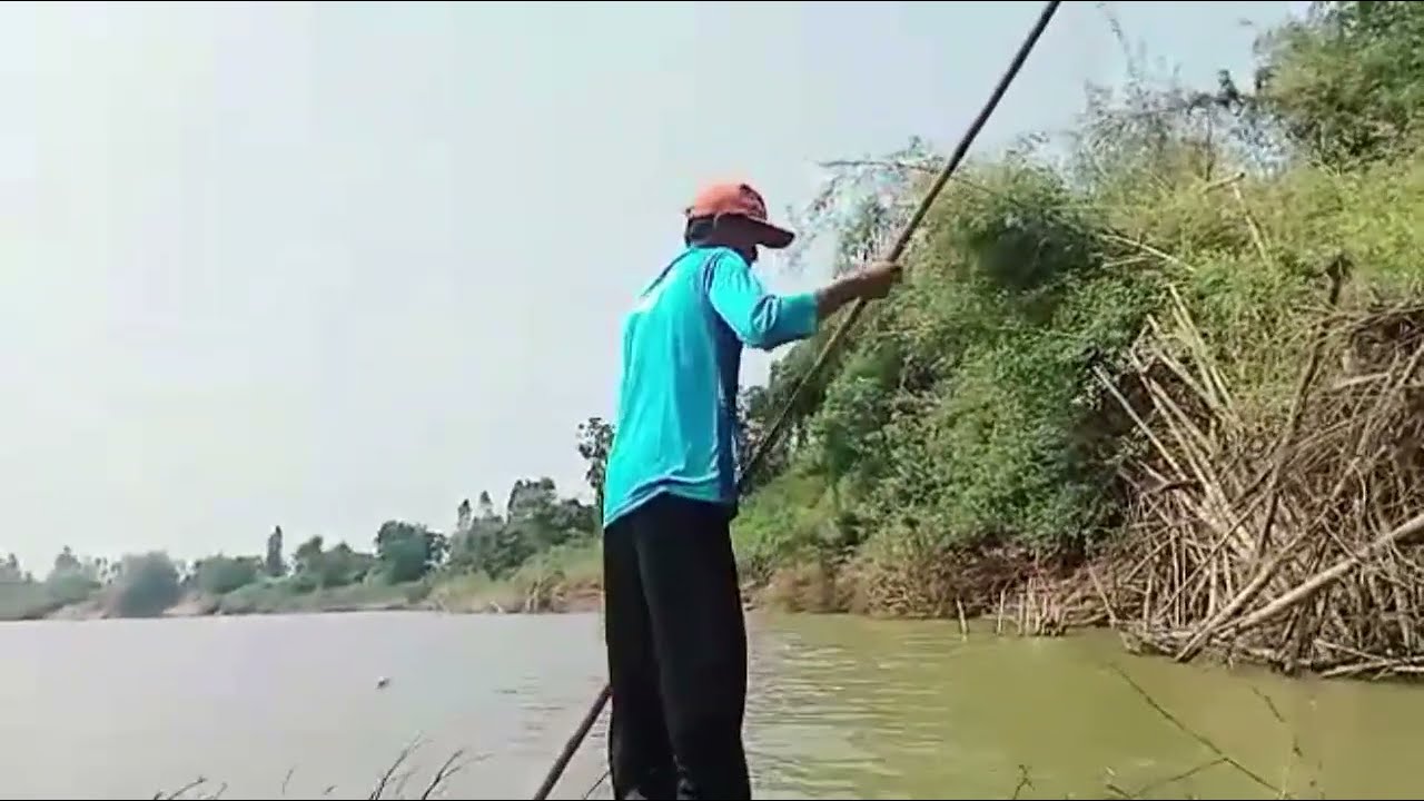ไล่ดางยุในชีหมานปลาแมมีแต่ตัวใหญ่ๆ