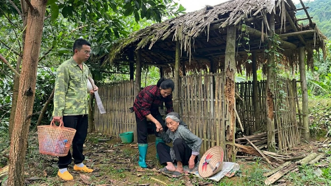 Неожиданная встреча в старом доме после бури | Ly Tieu Yen