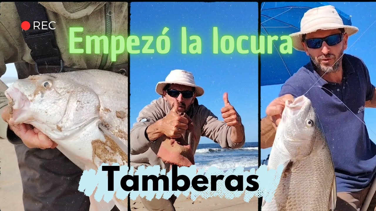 Tamberas, arrancó la locura.