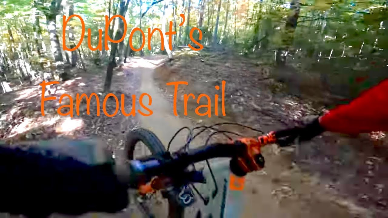 The Most Famous Trail in North Carolina | Ridgeline + Hickory Mountain Loop