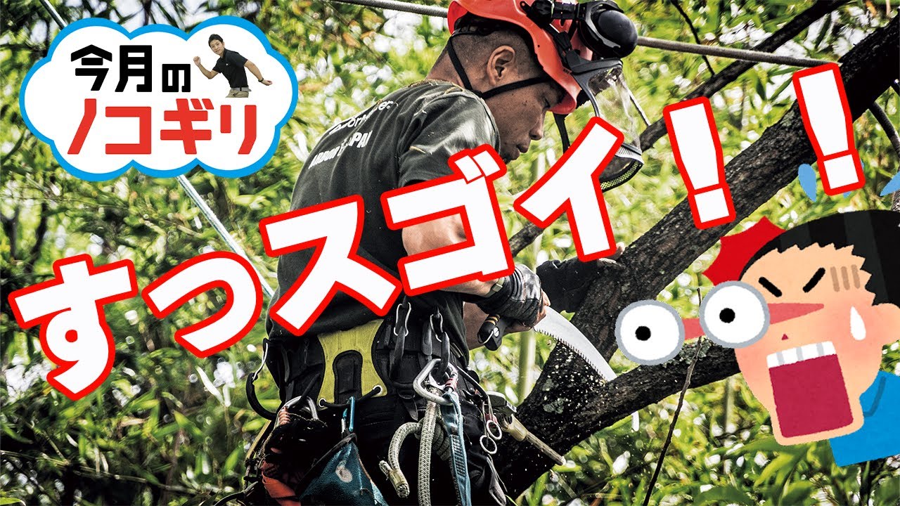 【今月の鋸】カーブソー界の大物が登場！その圧倒的なスペックはまさにスゴイ