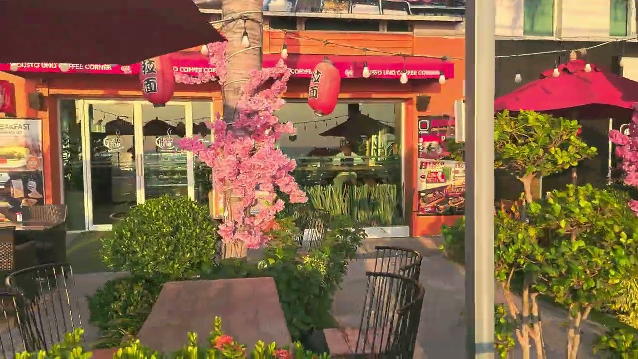 Первый раз тестирую стабилизатор Hohem iSteady V3 сразу после покупки