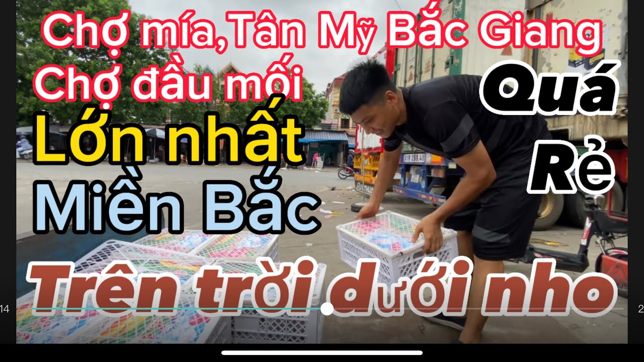 Chợ mía chợ đầu mối lớn nhất miền Bắc (trên trời dưới trái cây các loại)các mặt hàng nông sản rất rẻ
