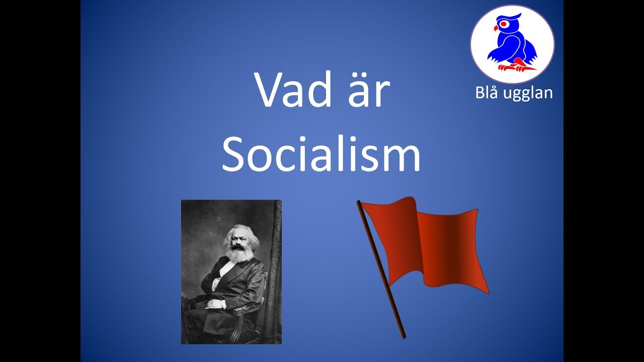 Vad &auml;r Socialism? [En kort och enkel sammanfattning] [Ideologi]