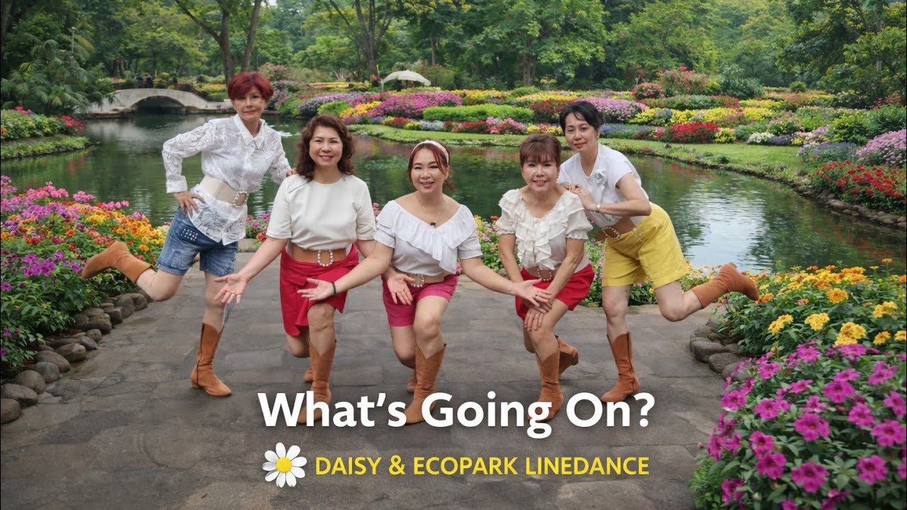 What's Going On Line Dance/ Demo by Daisy LD ( Ecopark) 21.2.2026