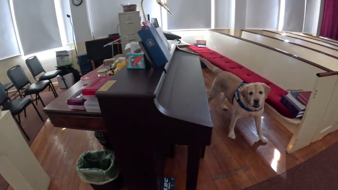 2026 New Years Day Sniffer - 3rd search 
