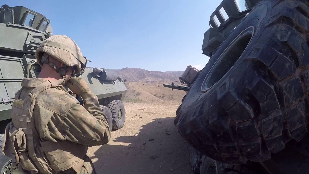 LAV25