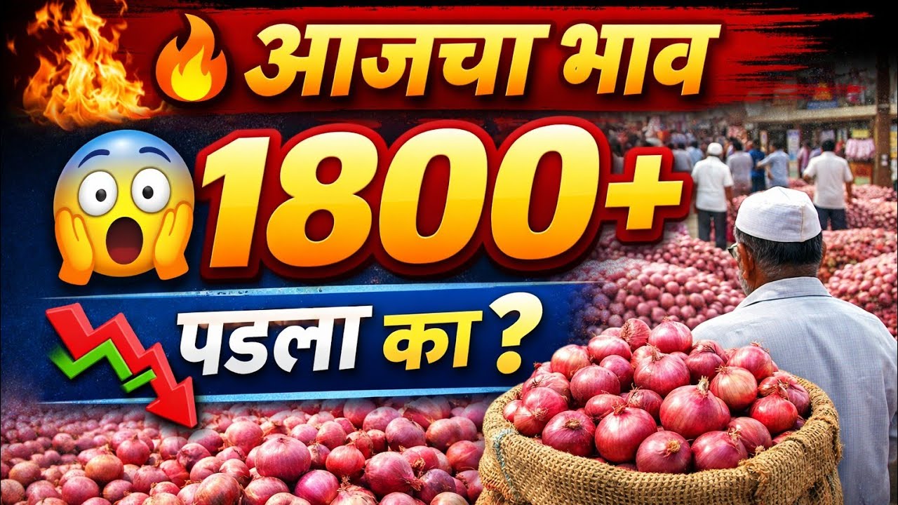कांदा भाव अचानक वाढला की घसरला? खरी किंमत पाहा!#kandabhav #farming #havamanandajtoday #kandamarket 
