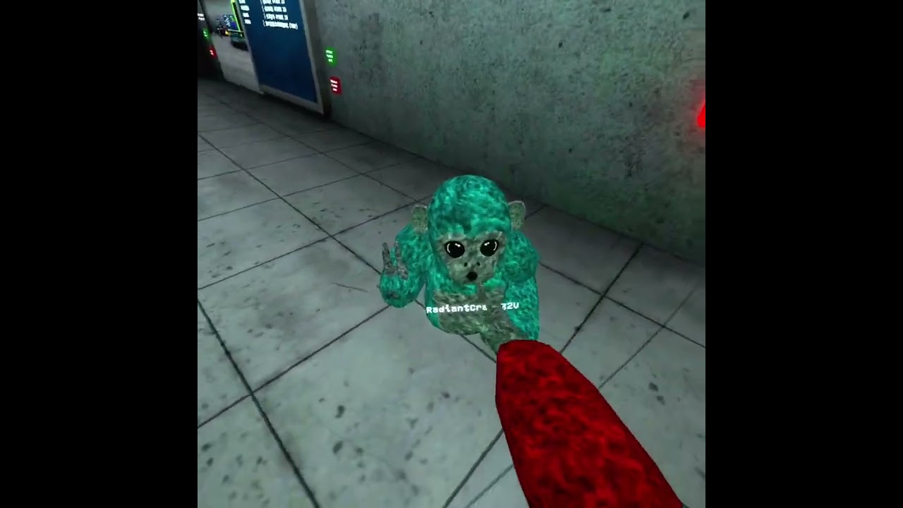 Day one of hacking in scary baboon
