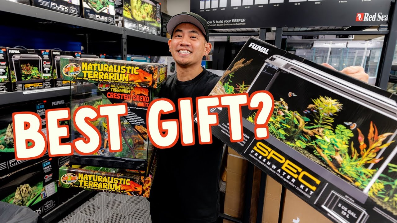 BEST AQUARIUM & REPTILE GIFTS IDEAS | UNBOXING THE FLUVAL SPEC & ZOOMED CRESTED GECKO KIT