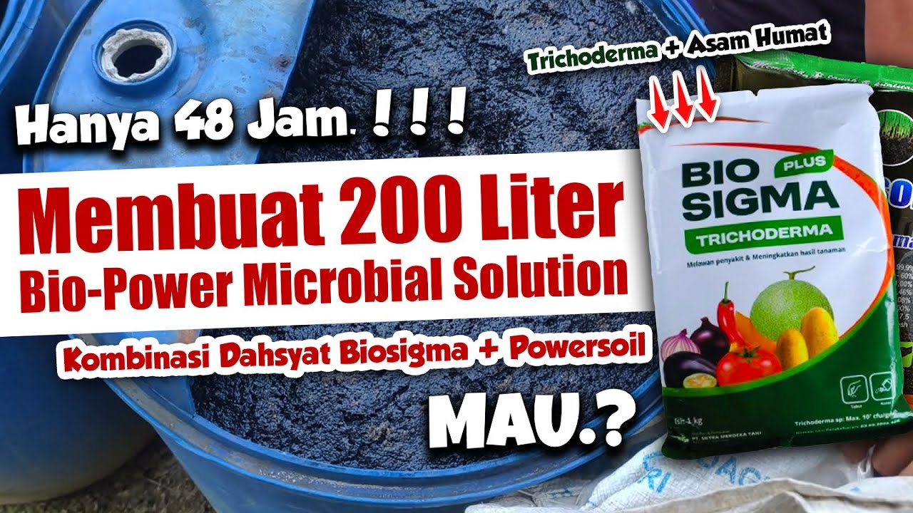 CUMA 48 JAM JADI.❗❗ MEMBUAT 200 LITER BIOPOWER MICROBIAL SOLUTION KOMBINASI BIOSIGMA & POWERSOIL