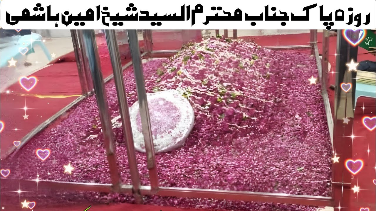 Roza E PAK (Mazar Sharif) JANAB E MOHTARAM SHEIKH AMEEN G, جناب محترم السید الشیخ محمد امین جی