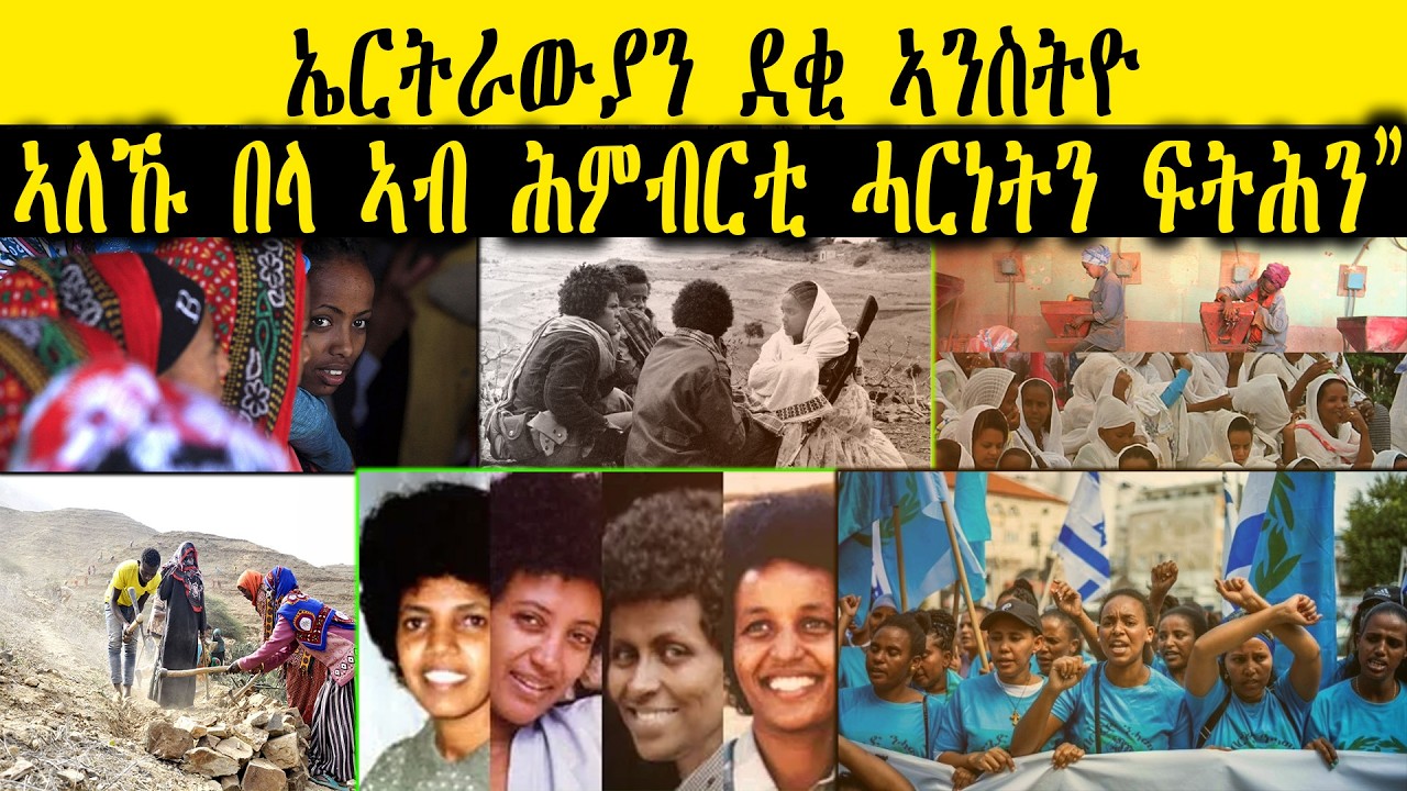 ERIPM |   ኤርትራውያን ደቂ ኣንስትዮ ኣለኹ በላ ኣብ ሕምብርቲ ሓርነትን ፍትሕን”  ~ Current Affairs ~ እዋናዊ ጉዳያት
