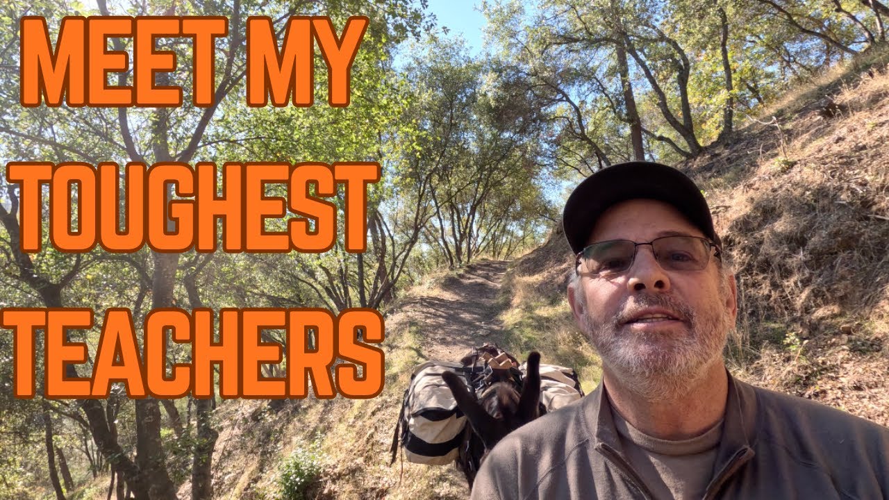 What My Donkeys Taught Me About Patience (and People).